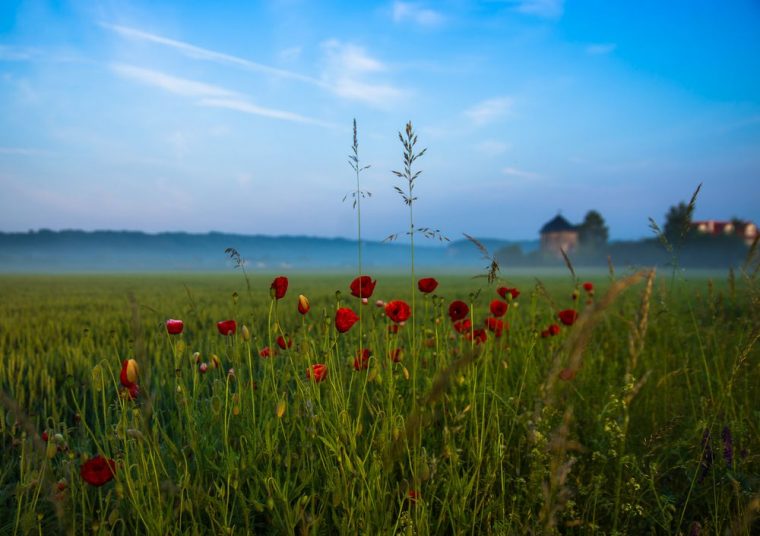 an der breiten wiese 70