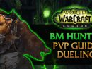 Bm Hunter: Dueling Guide - Wow Legion Pvp - pour Kargoz