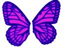 Butterfly Wings Clip Art - Clipart Best concernant Wing Clipart