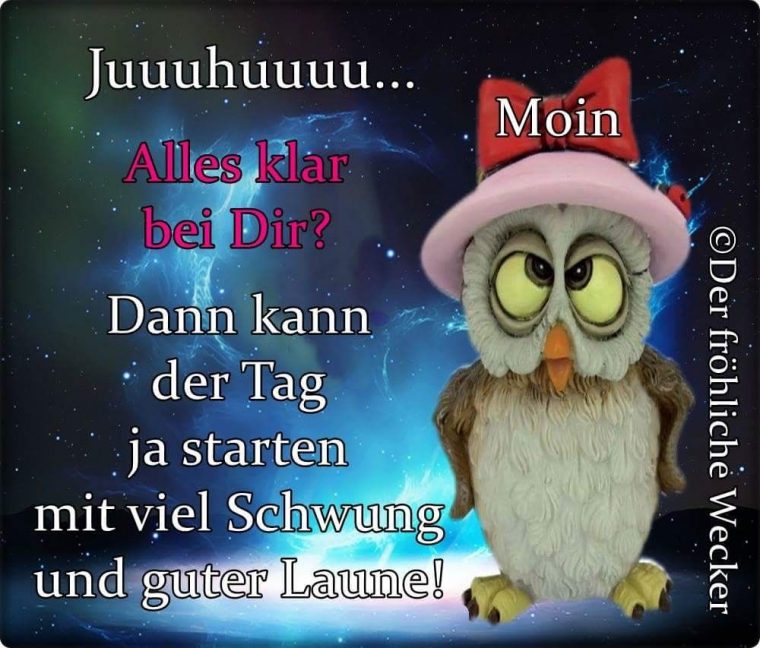 guten morgen liebe sorgen sprüche