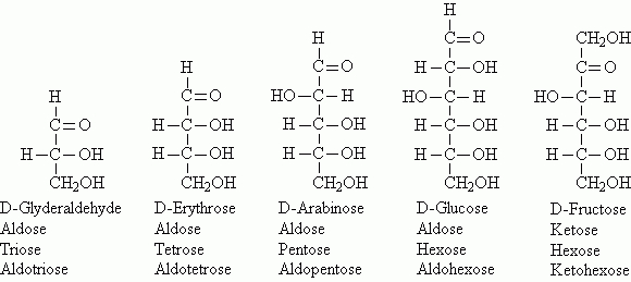 Chapter 17 serapportantà Properties. D. Have Different Molecular Formulas, But The Same Chemical And