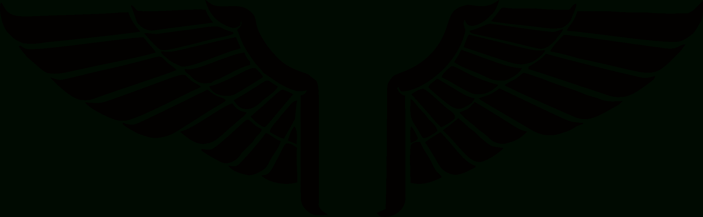 Clipart - Bird Wings avec Wing Clipart 