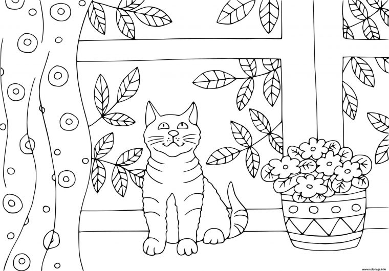 Coloriage Un Chaton Pres De La Fenetre Dans Sa Maison pour Chat Dessin Coloriage