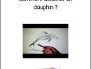 Comment Dessiner Un Dauphin - Comment Dessiner avec Comment Dessiner Un Dauphin