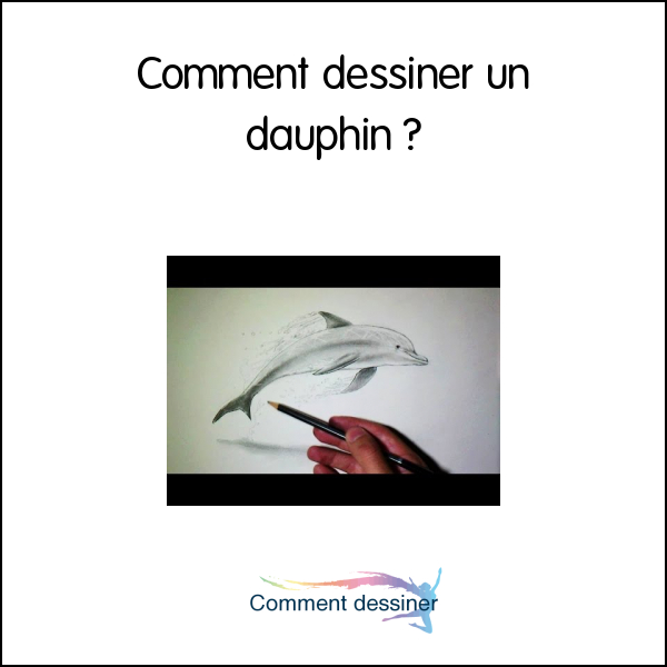 Comment Dessiner Un Dauphin - Comment Dessiner avec Comment Dessiner Un Dauphin