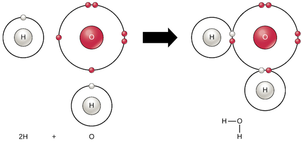 Curso: Curso De Biología Completo Y Gratis  Módulo pour Which Element Has The Fewest Valence Electrons 