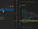 Debugger Shows Only First Element Of Dynamic Array · Issue concernant Vscode-Cpptools