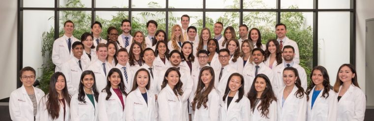 Doctor Of Dental Surgery Program Admissions  Stony Brook dedans Stony Brook Syllabus