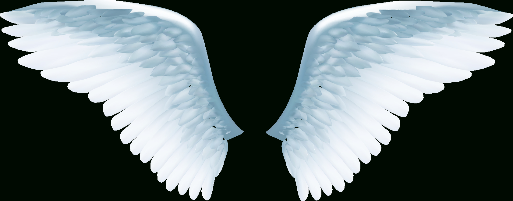 Download White Angel Wings Png - Angel Vector Png Image concernant Wings Png