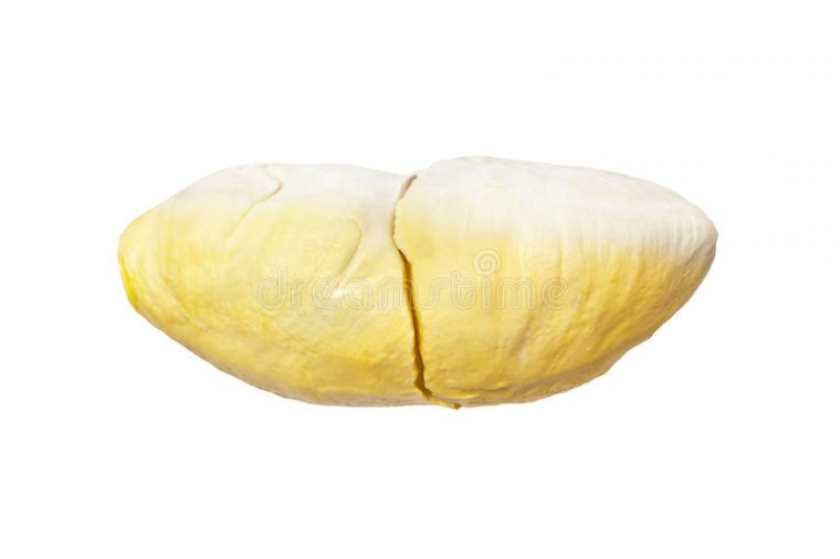 Durian (Thai Monthong Durian) In White Plate, Isolated concernant Clipping Path Thailand