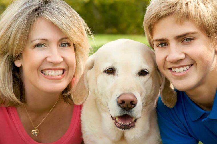 Family Dentist Northwest Houston – Now Accepting New Patients pour Dentist Implants Northwest Houston