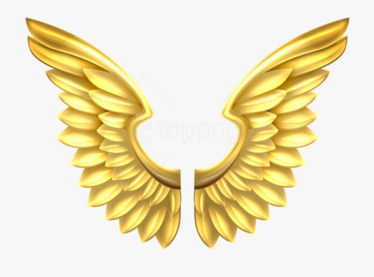 Free Png Download Gold Wings Transparent Clipart Png intérieur Wings Clipart