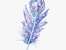 Freetoedit Feather Feder Glitters Glitter - Illustration tout Feather Clipart