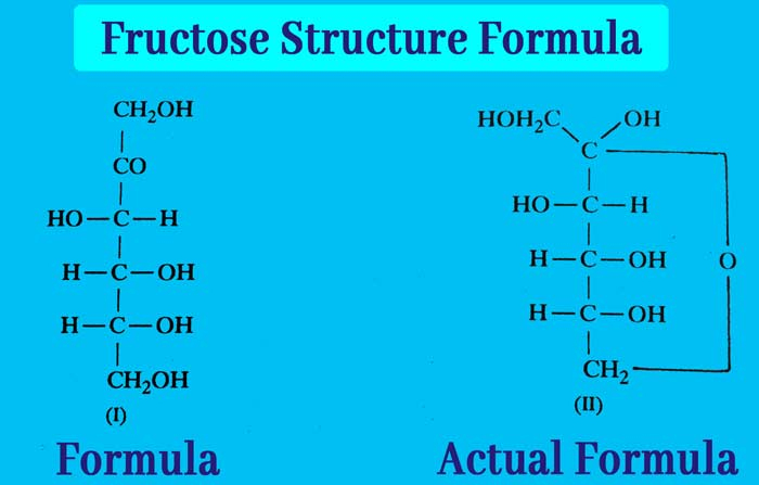 Fructose Formula: How Fructose Converted Into Glucose? à Properties. D. Have Different Molecular Formulas, But The Same Chemical And 