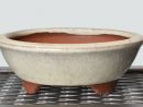 Glazed Round Japanese Bonsai Pot Youzan  Etsy encequiconcerne Mal Pot Bonsai