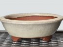 Glazed Round Japanese Bonsai Pot Youzan  Etsy pour Mal Pot Bonsai