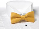 Gold Polyester Clip-On Bow Tie - Scpa-011-160  Starquix encequiconcerne Scpa Share Price