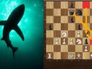 Great Defensive Strategies! - Stockfish Vs Stoofvlees dedans Tcec Chess