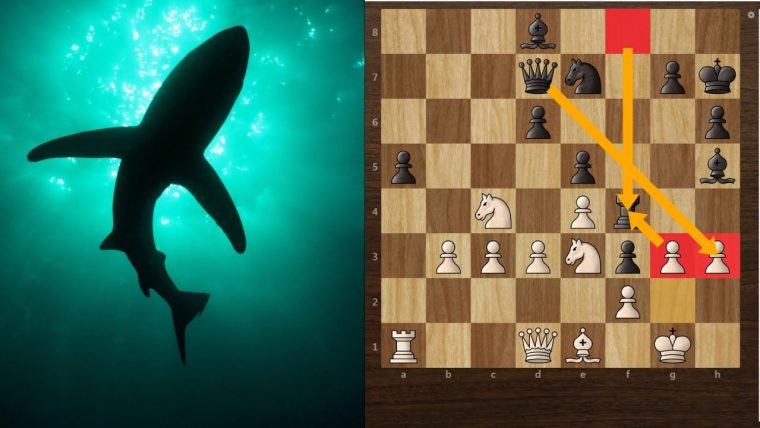 Great Defensive Strategies! – Stockfish Vs Stoofvlees dedans Tcec Chess