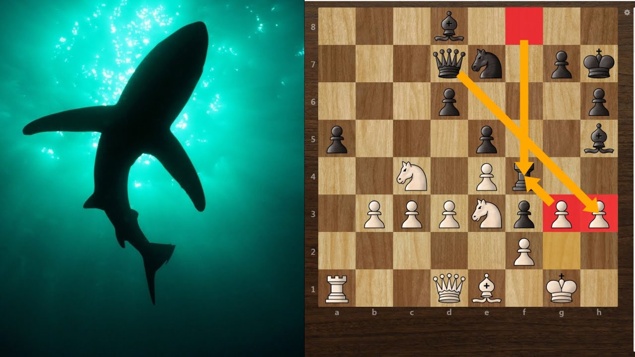 Great Defensive Strategies! - Stockfish Vs Stoofvlees dedans Tcec Chess