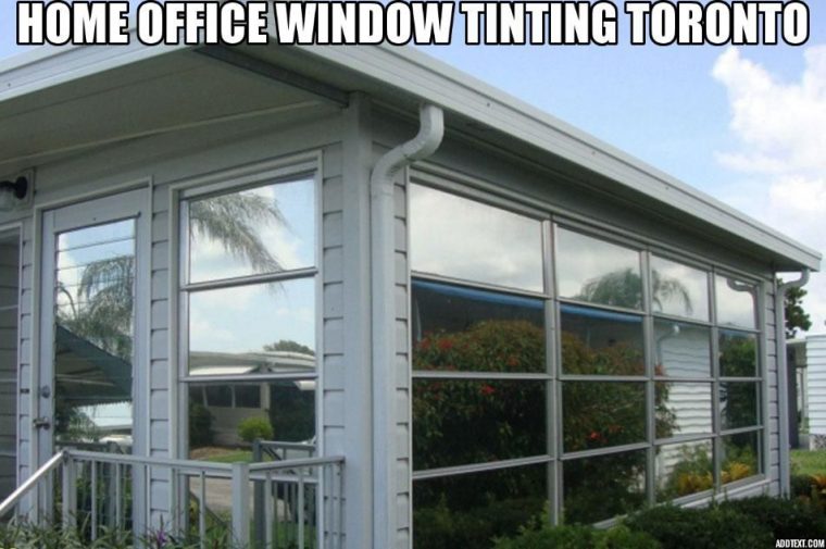 Home Office Window Tinting Toronto  Office Window, Tinted dedans Berkeley Office Window Tinting