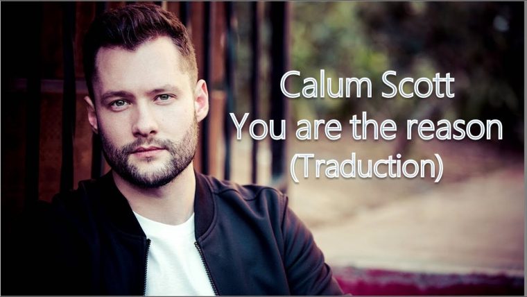 calum scott you are the reason übersetzung