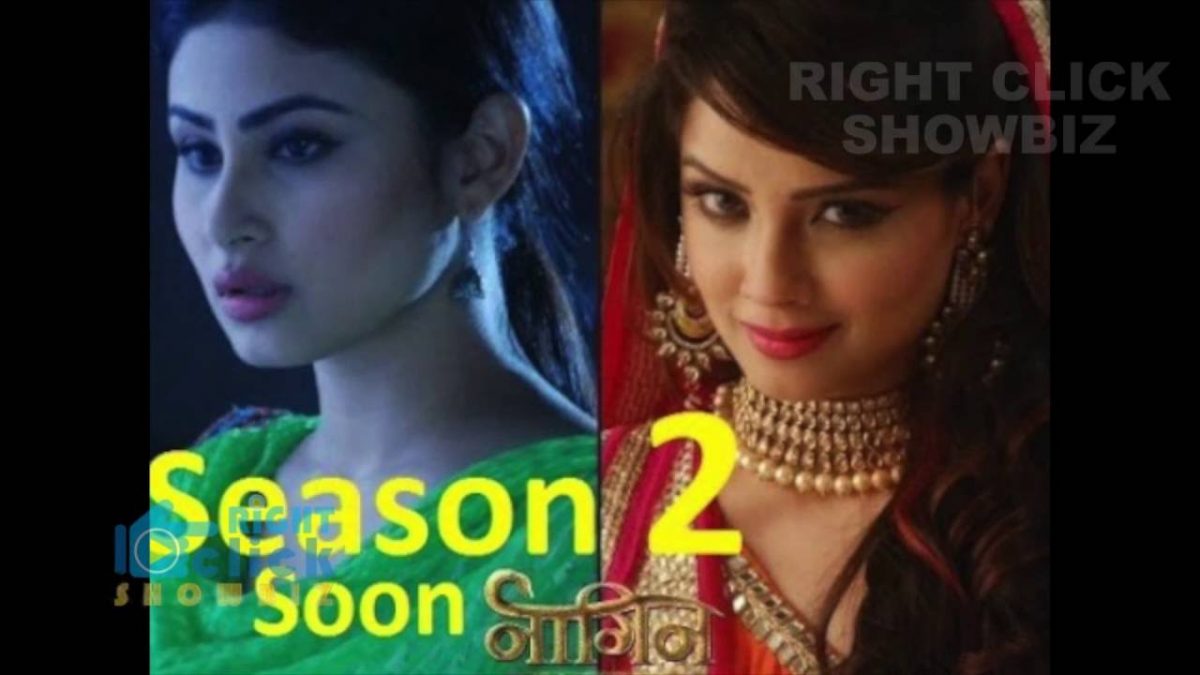 Naagin (Season 2) : New Character In The Show  Lalit serapportantà Naagin Season 2