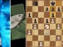 Never Too Early For Zugzwang!  Leela Vs Stockfish à Tcec Chess