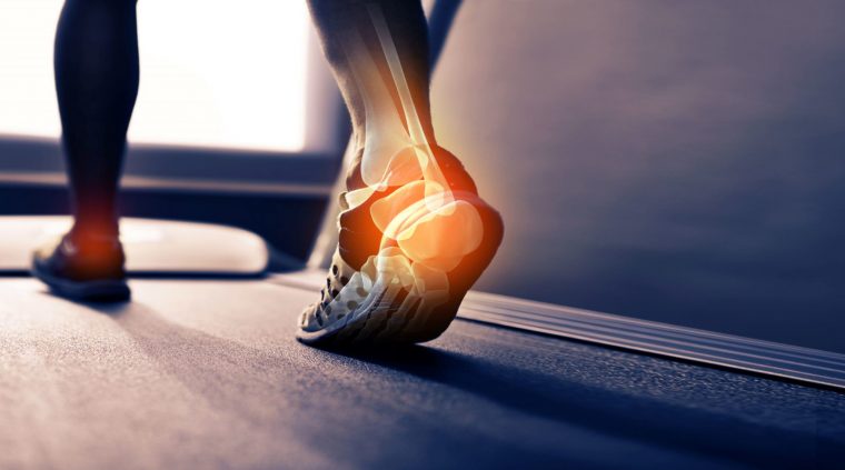 Optimizing Ankle Mobility For Walking And Running Webinar dedans Webexercises