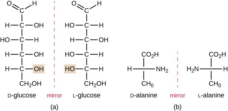 Organic Molecules · Microbiology destiné Properties. D. Have Different Molecular Formulas, But The Same Chemical And