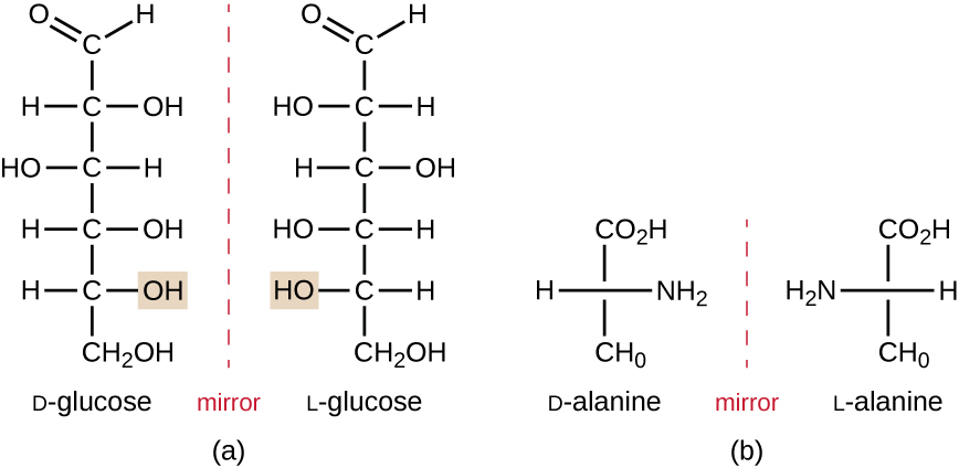 Organic Molecules · Microbiology destiné Properties. D. Have Different Molecular Formulas, But The Same Chemical And 