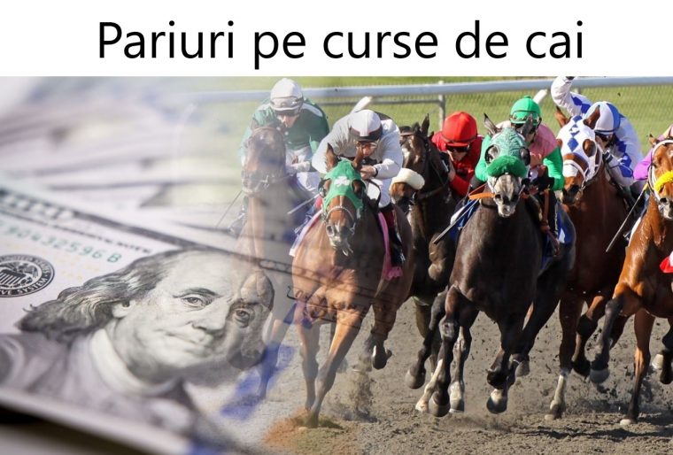 Pariuri Pe Curse De Cai  Fortuna Pariuri dedans Cals Curse