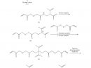 Patent Us7705064 - Photosensitive Compounds encequiconcerne Michael Acceptor Reactivity
