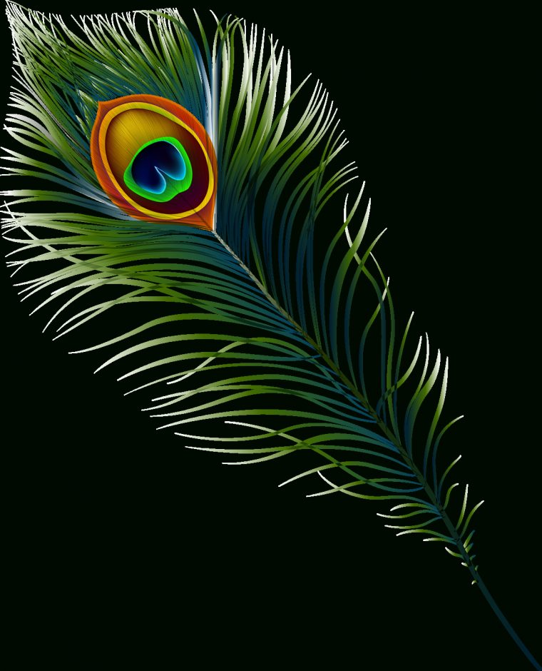 Peacock Feather Png Hd Free concernant Feather Clipart