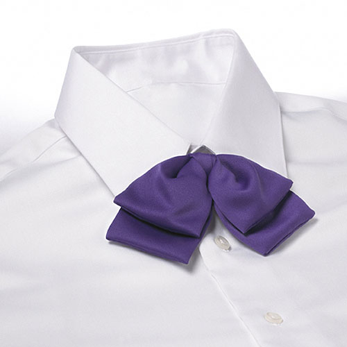 Purple Floppy Bow Tie - Scpa-008-540  Starquix tout Scpa Share Price