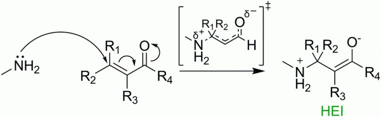 Reactivity Prediction In Aza-Michael Additions Without concernant Michael Acceptor Reactivity