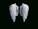 Realistic Angel Wingss  Pnglib - Free Png Library tout Angel Wings Png
