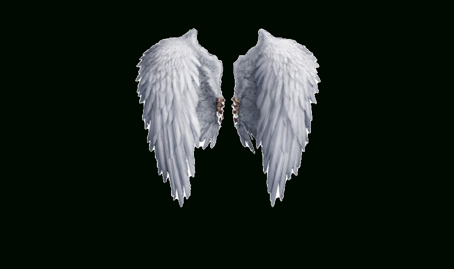 Realistic Angel Wingss  Pnglib - Free Png Library tout Angel Wings Png 