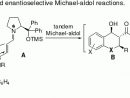Research In My Group à Michael Acceptor Reactivity