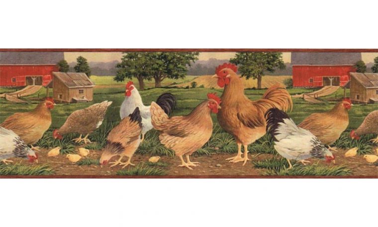 Roosters Afr7106 Wallpaper Border  Home Decor And dedans Wallpaper Borders Chickens And Roosters