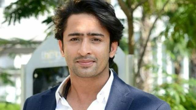 Shaheer Sheikh: If I Am Committed To A Particular Show, I serapportantà Shaheer Sheikh Twitter 