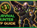 The New 7.1 Survival Hunter Pvp Guide - Wow Legion - dedans Kargoz