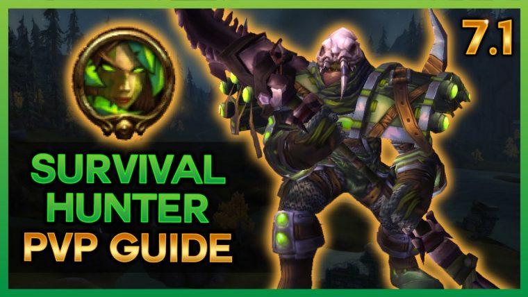 The New 7.1 Survival Hunter Pvp Guide – Wow Legion – dedans Kargoz