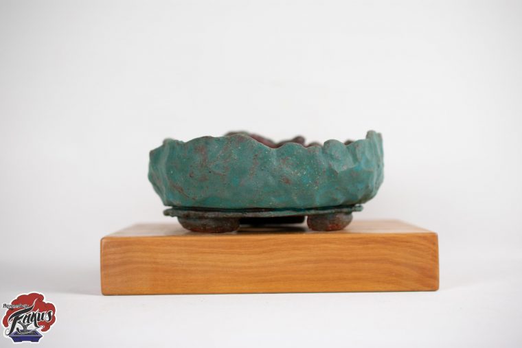 Turquoise Ronde Bonsai Pot  Bonsaishop Fagus dedans Mal Pot Bonsai