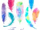 Watercolor Feathers Clip Art Digital Clip Art Png File Eps avec Feather Clipart