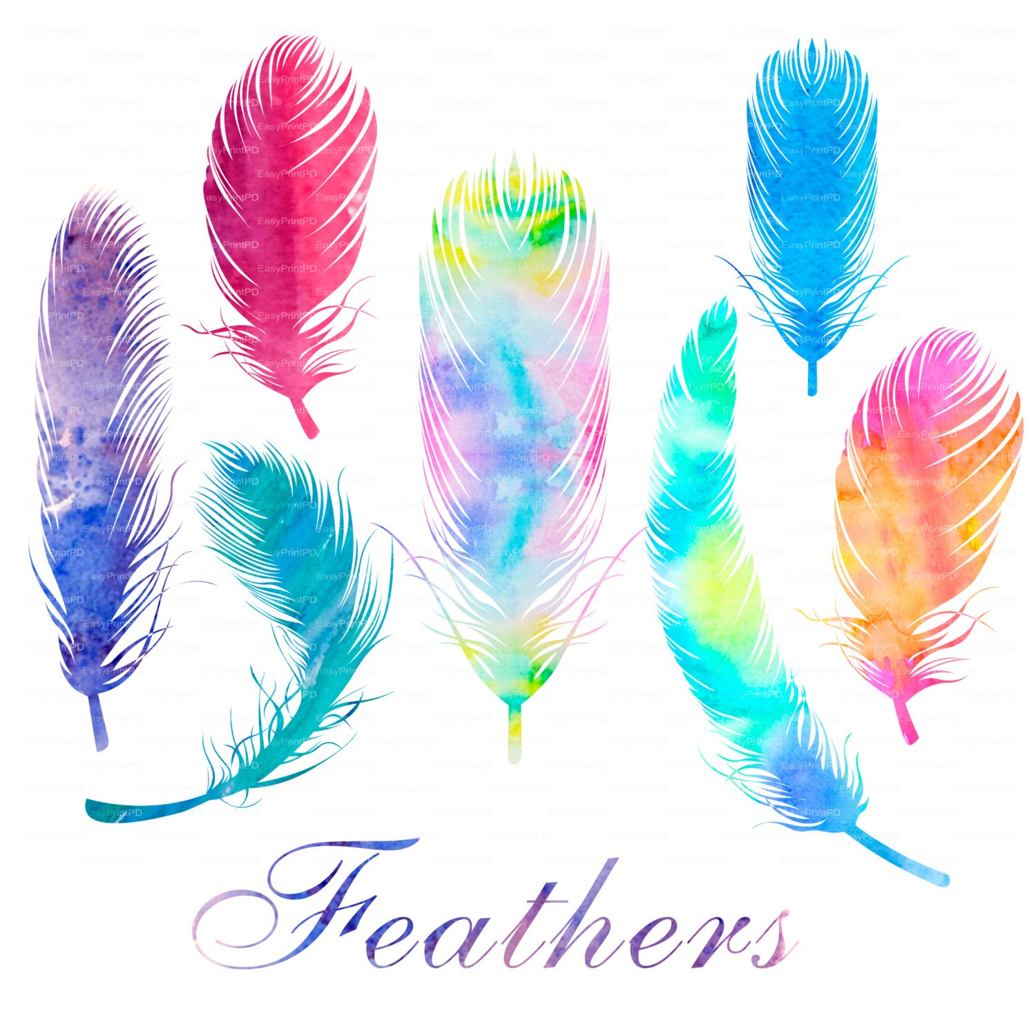 Watercolor Feathers Clip Art Digital Clip Art Png File Eps avec Feather Clipart