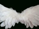 White Angel Wings · Free Photo On Pixabay pour Wings Png
