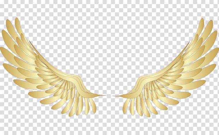 Wing Clipart Yellow, Wing Yellow Transparent Free For encequiconcerne Wing Clipart