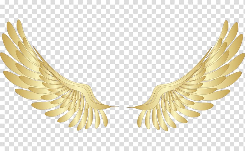 Wing Clipart Yellow, Wing Yellow Transparent Free For tout Wings Clipart 