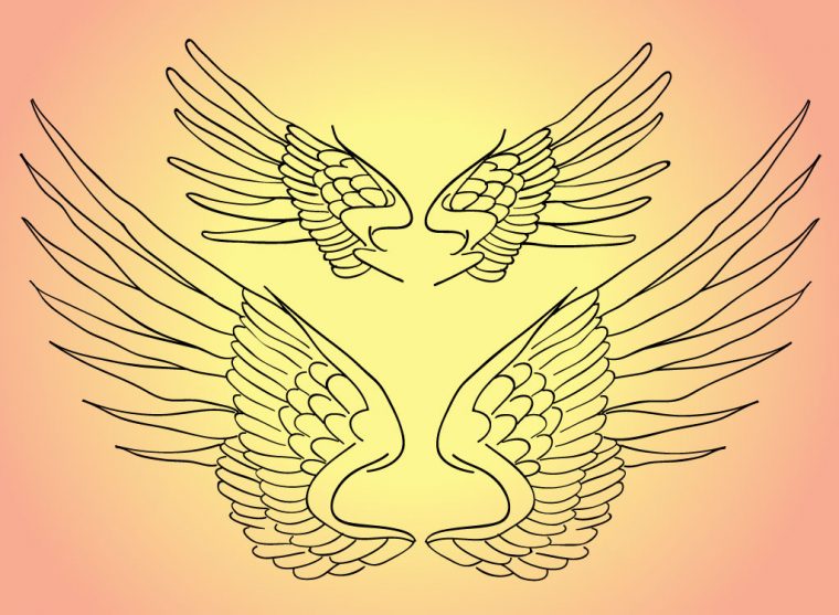 Wings Line Art encequiconcerne Wings Vector